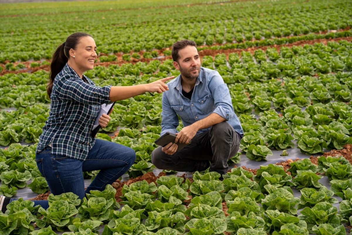 Horticultural Consulting