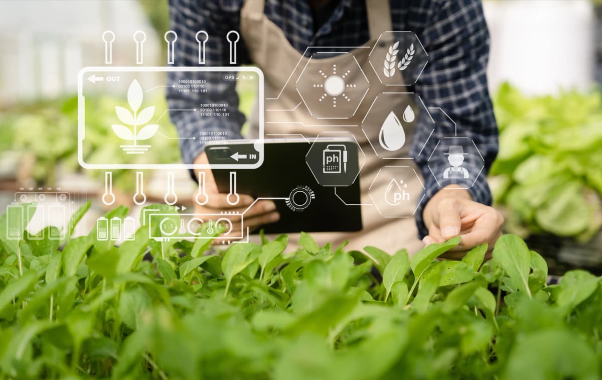 Innovation & Product Development