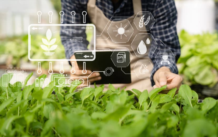 Innovation & Research