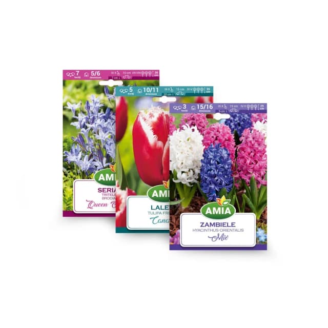 Bulbi, Rizomi & Tuberculi