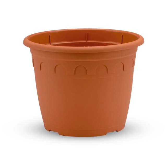 Ghivece Horticole & Propagare