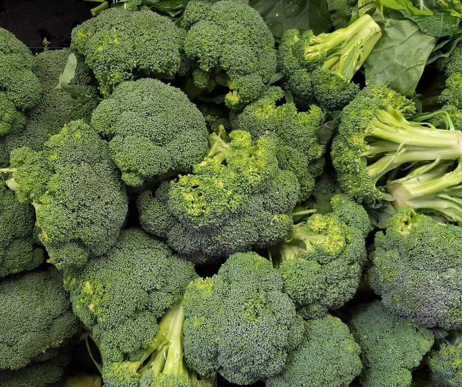 Brocolli 6 buc/pack - 1