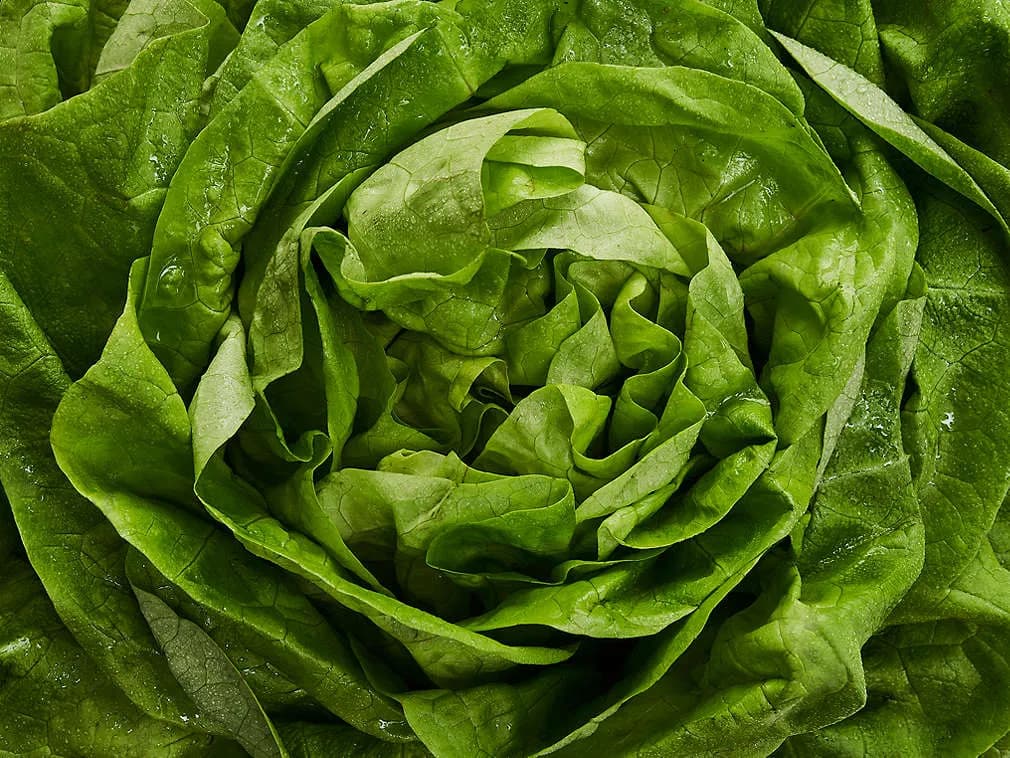Salată 6 buc/pack - 1