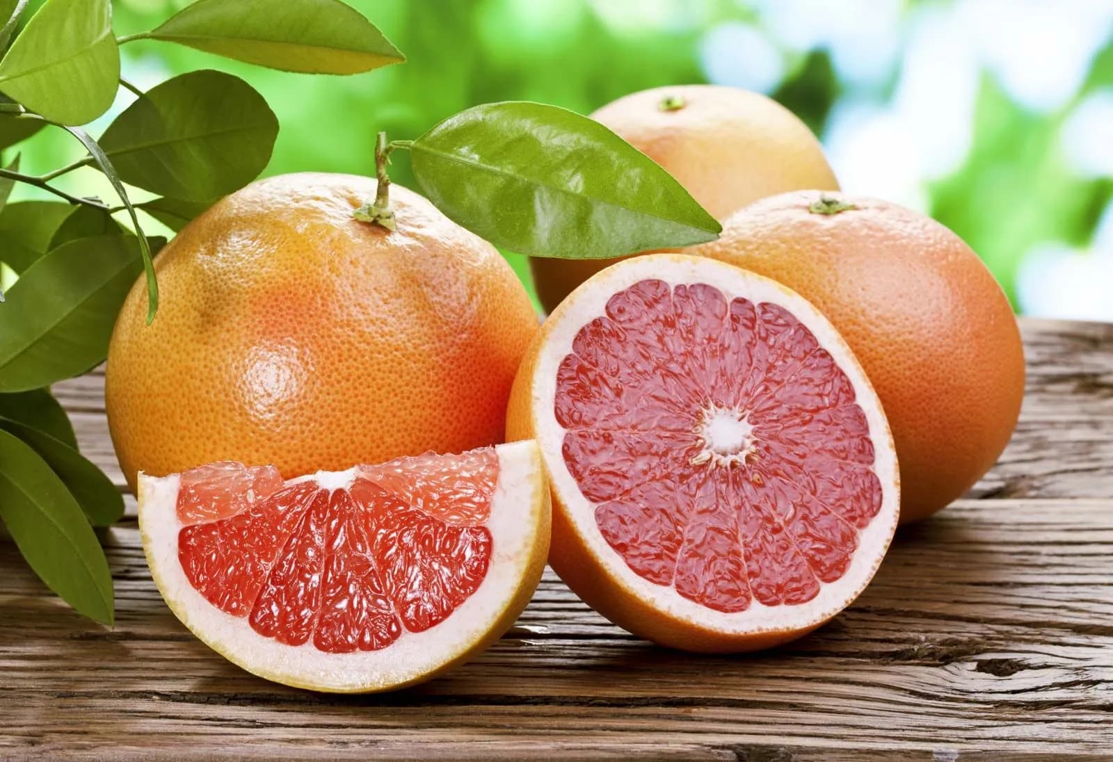 Citrus Pompelmo stem 22 (Grapefruit) - 1