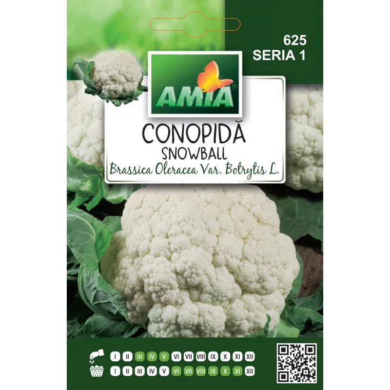Cauliflower Snowball 0.8 g - 1