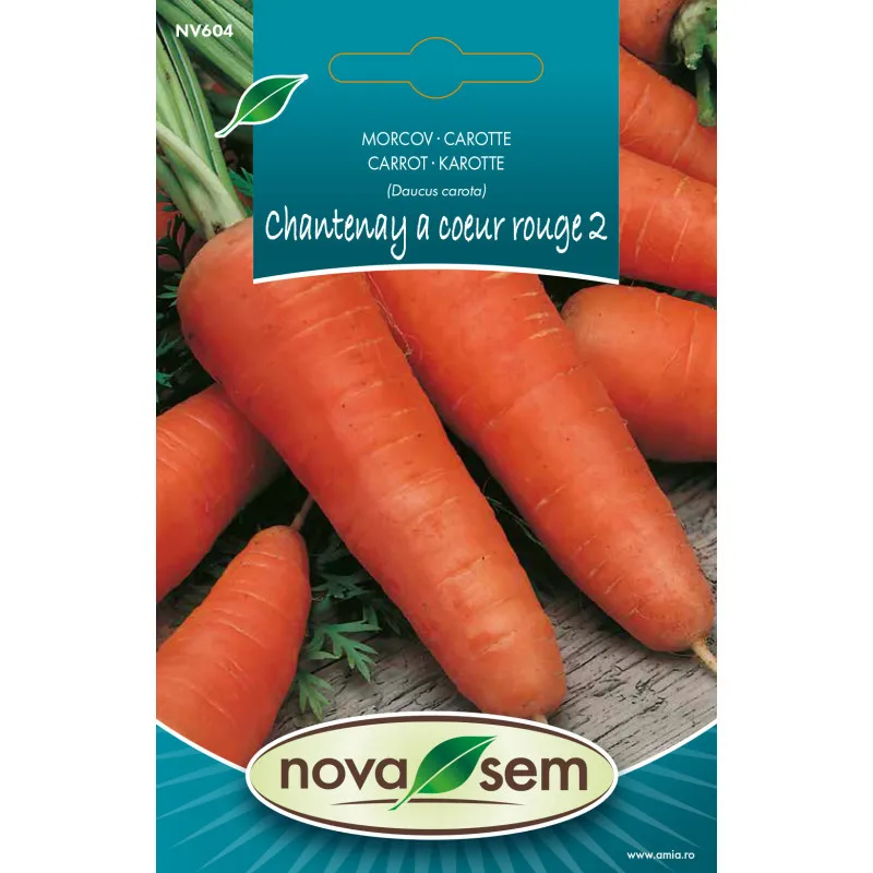Carrot Chantenay a Coeur Rouge 2 2 g - 1