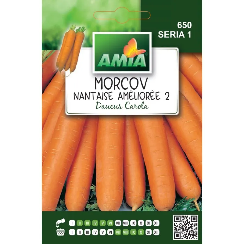 Morcov Nantaise Amelioree 4 g - 1