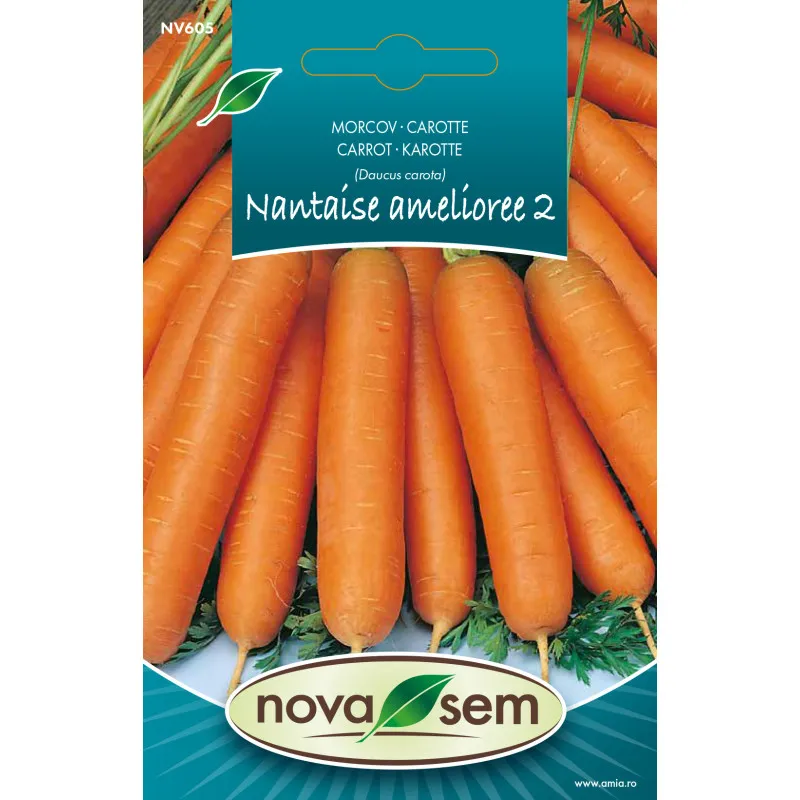 Morcov Nantaise Amelioree 2 g - 1