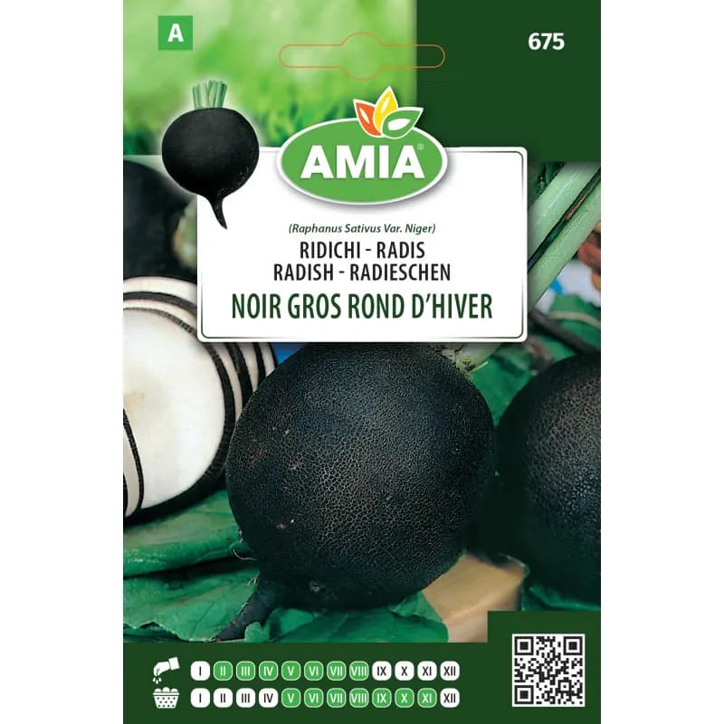 Radis Noir Gros Rond D'Hiver 6 g - 1