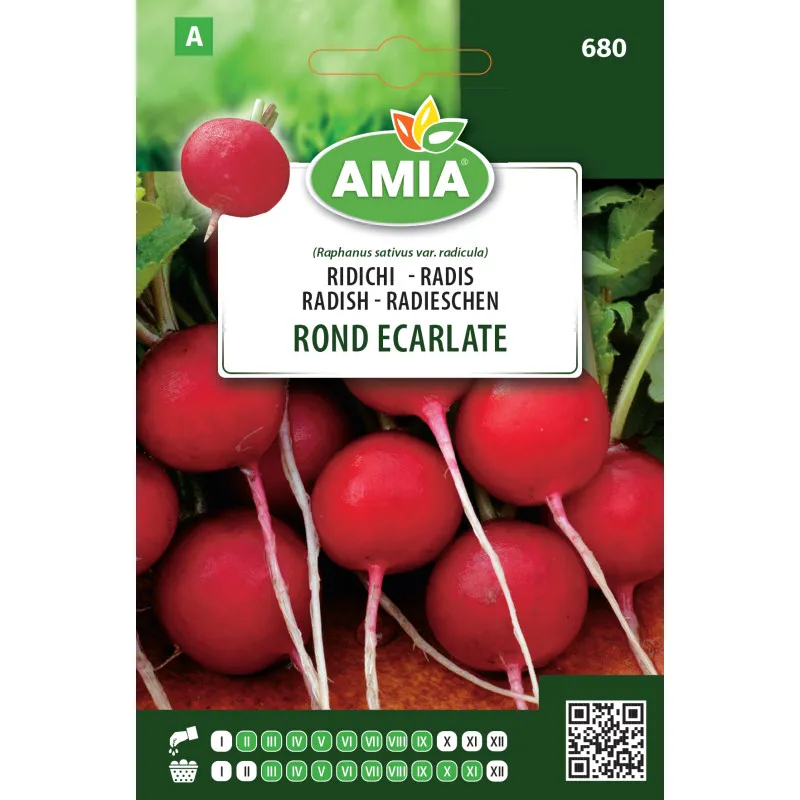 Ridichi Rond Ecarlate 7 g - 1