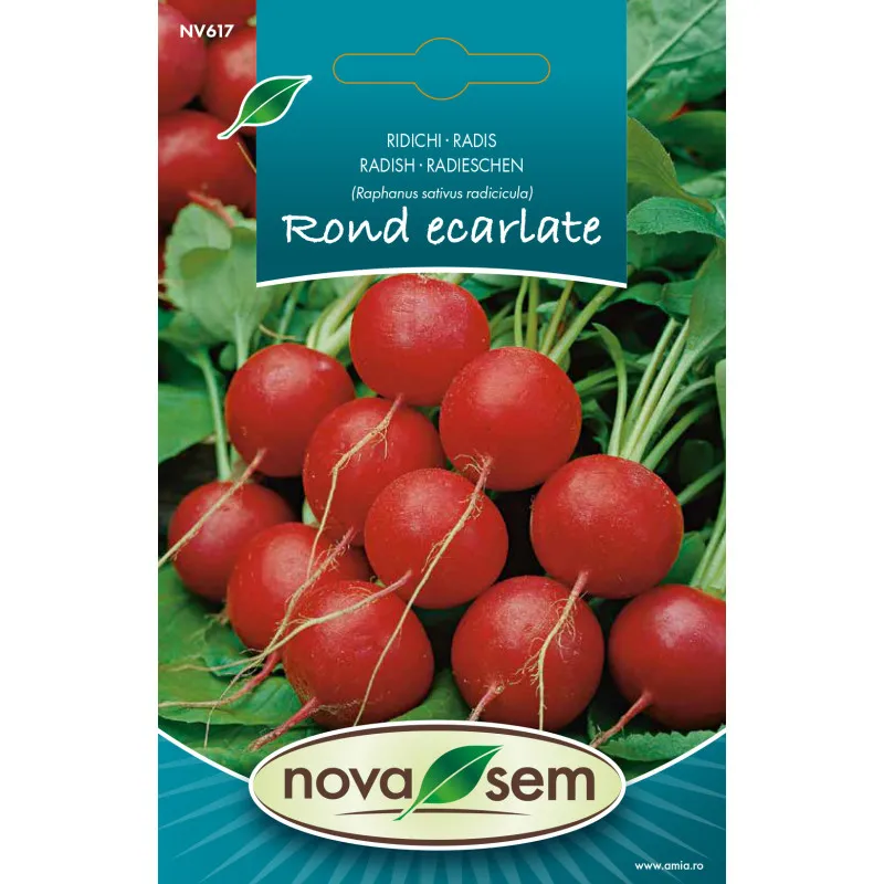 Ridichi Rond Ecarlate 3,5 g - 1