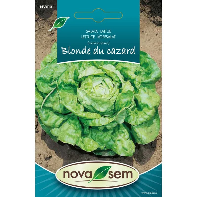 Salata Blonde du Cazard 1 g - 1