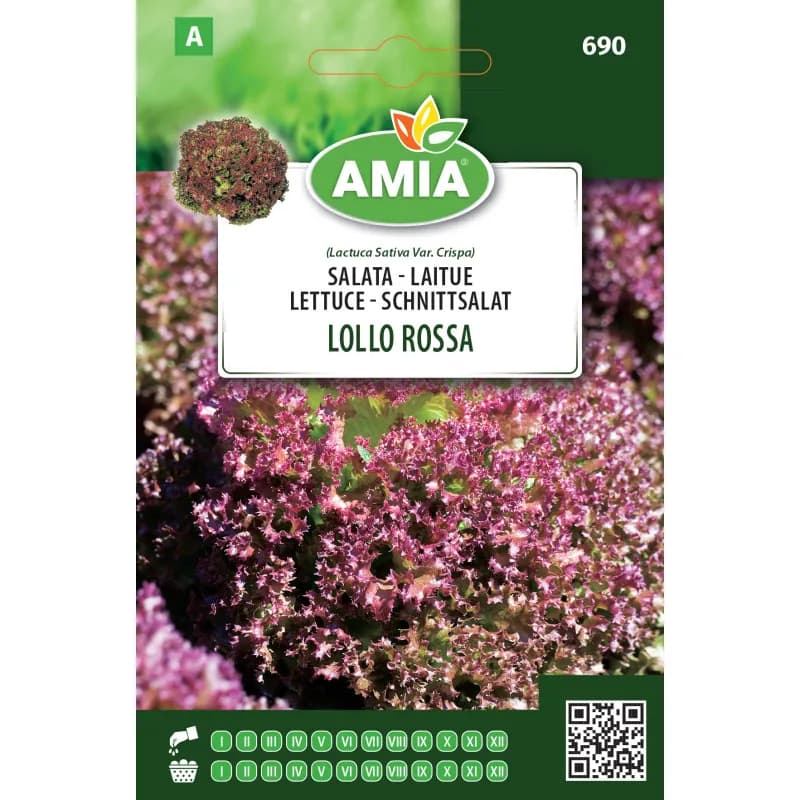 Salata Lollo Rossa 1,8 g - 1