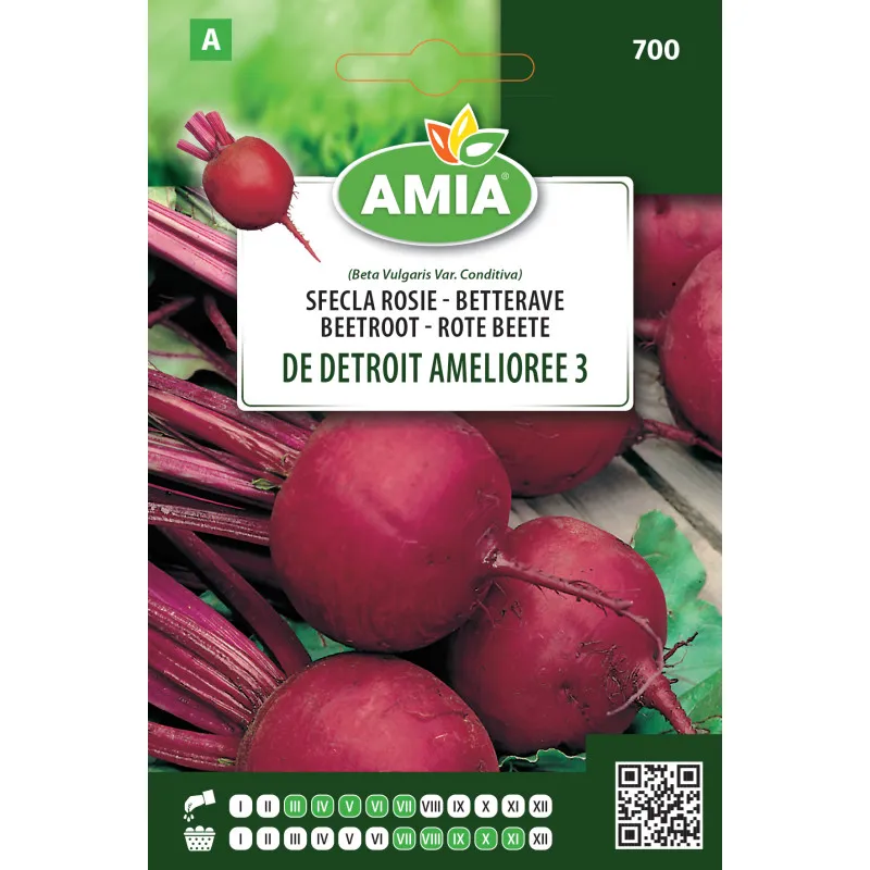 Sfecla Rosie de Detroit Amelioree 5 g - 1