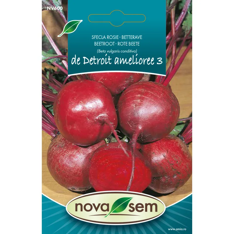 Betterave Rouge de Detroit Amelioree 3 g - 1