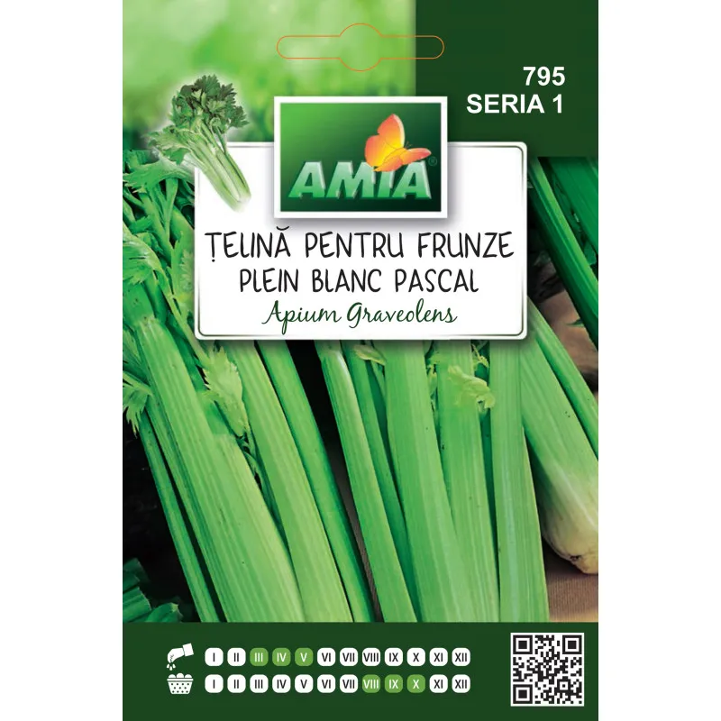 Celery for Frunze Blanc Pascal 2 g - 1