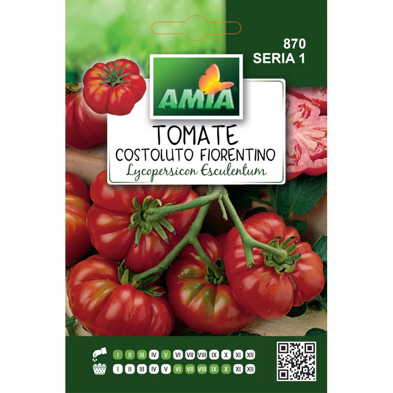 Tomate Costoluto Fiorentino 0,4 g - 1