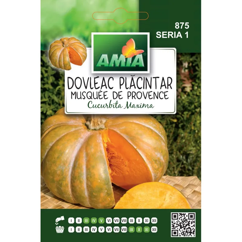 Courge courge à tarte Musque de Provence 1,5 g - 1