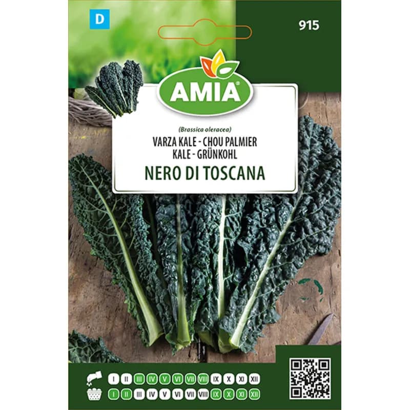 Chou Kale Nero DI Toscana 4 g - 1