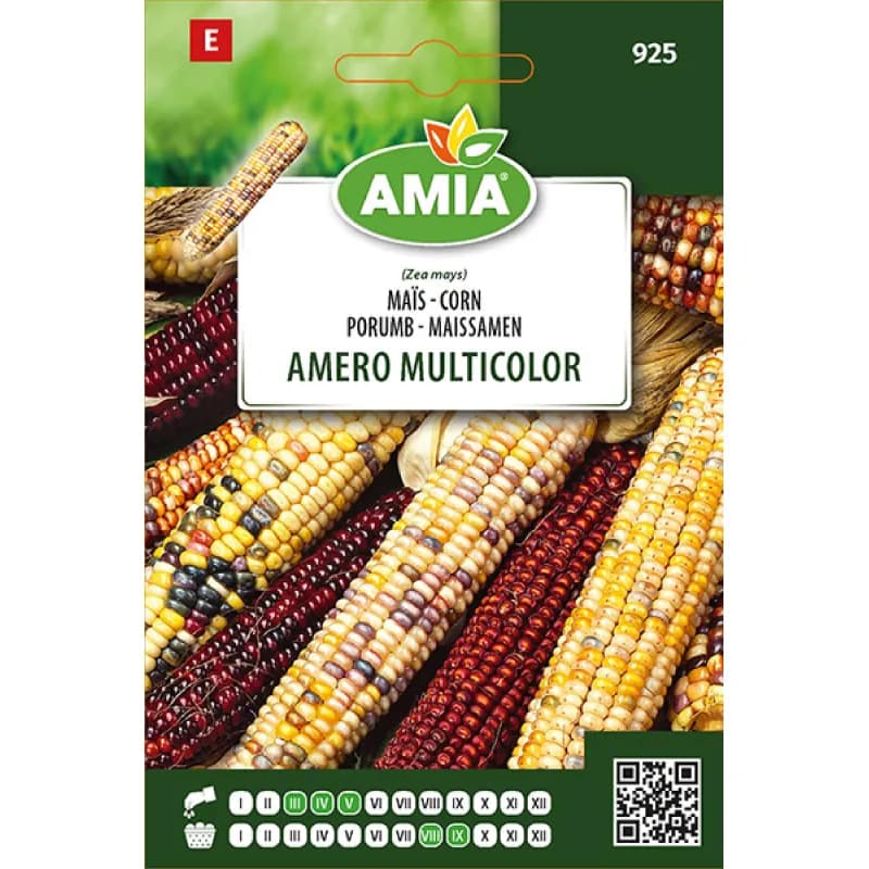Porumb Amero Multicolor 7 g - 1