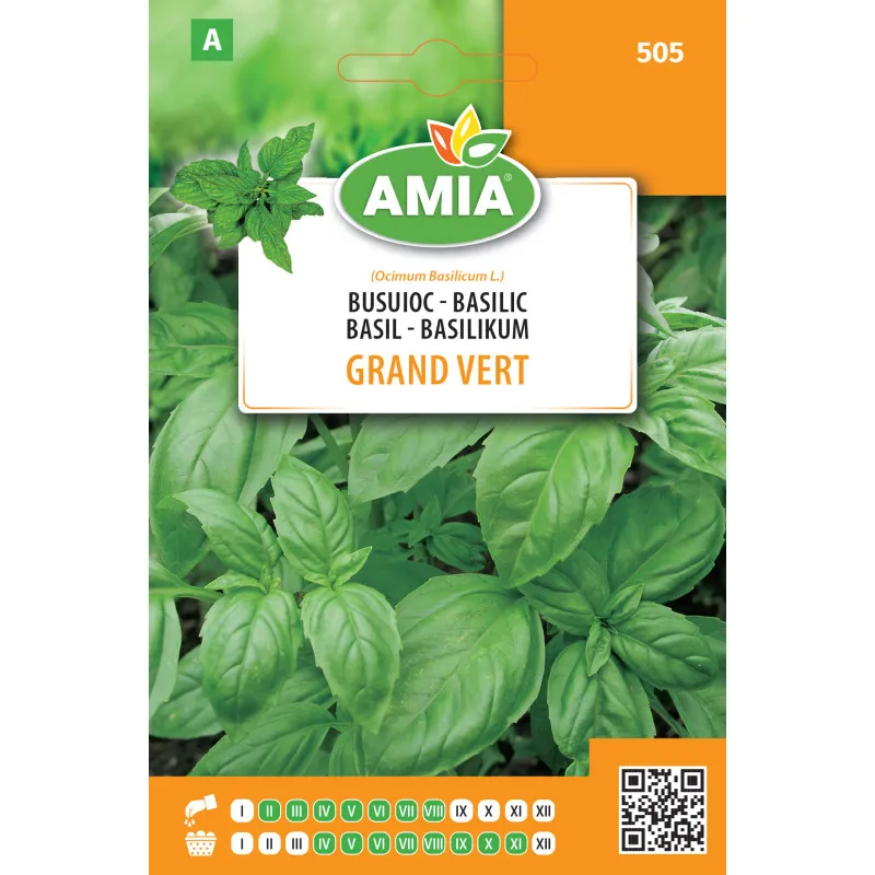 Basilic Grand Vert 1,5 g - 1