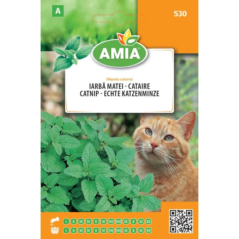Herbe a Chat 0,5 g - 1