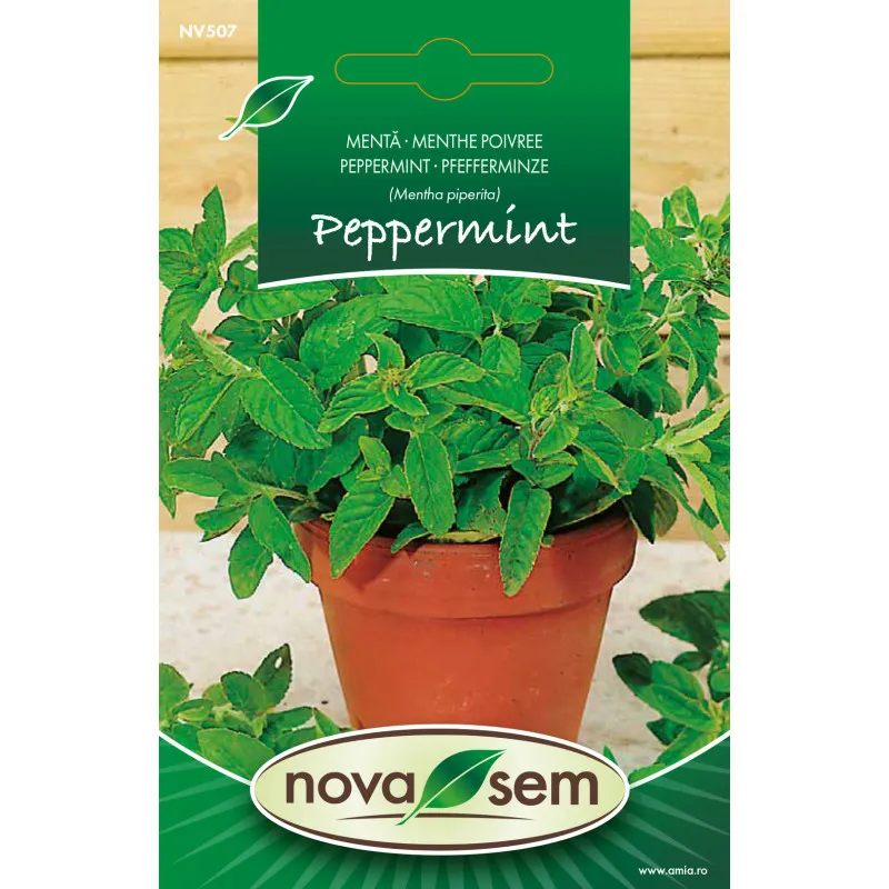 Menthe Poivree 0,07000000000000001 g - 1