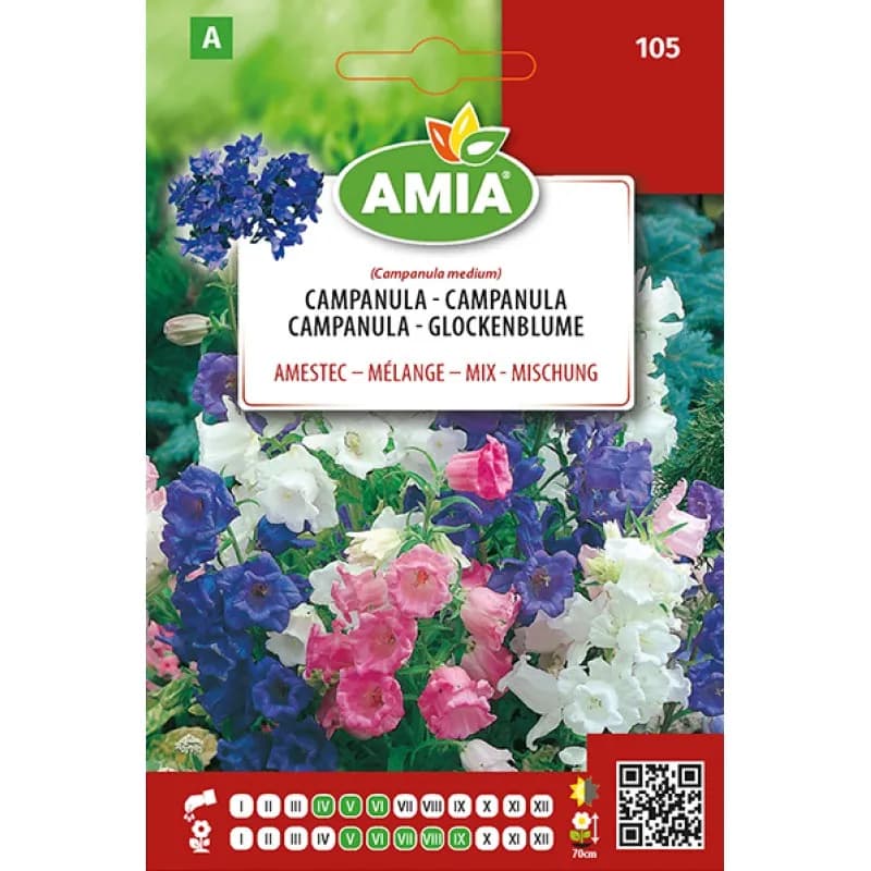 Campanula 0,6 g - 1