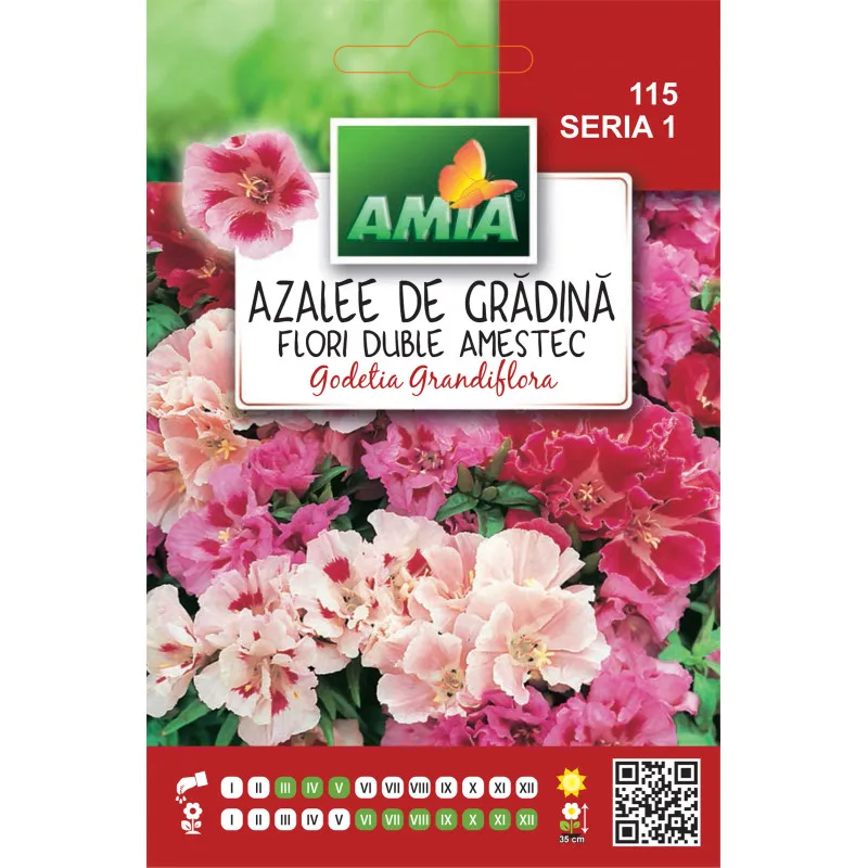 Azale de Gradina 0,5 g - 1