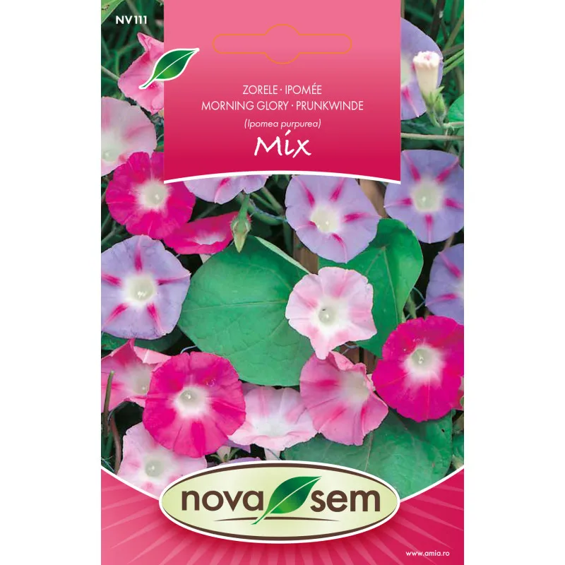Morning glory Mix 2.5 g - 1