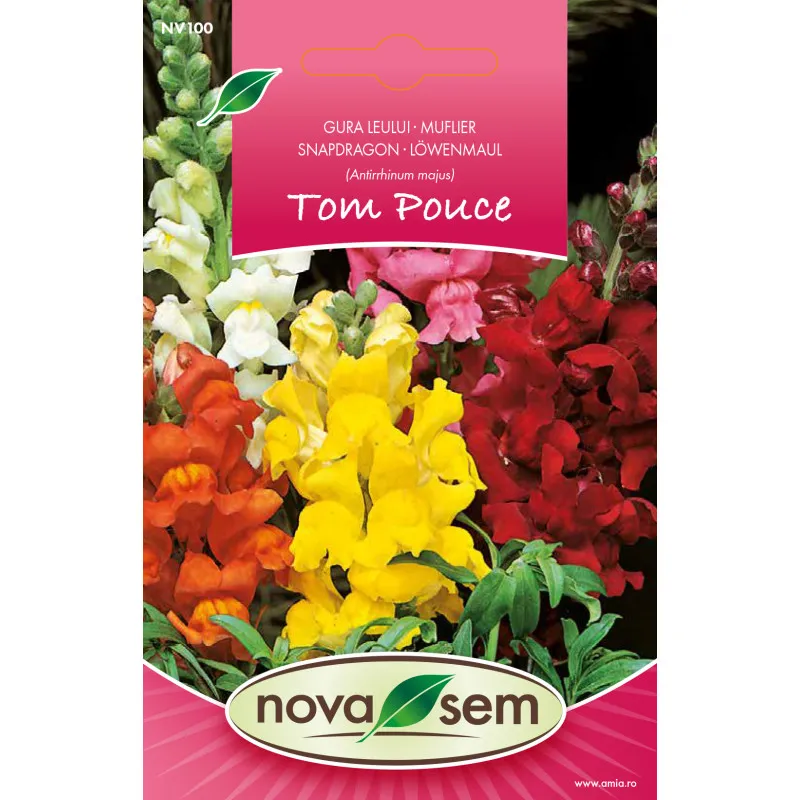 Gura Leului Tom Thumb 0,3 g - 1
