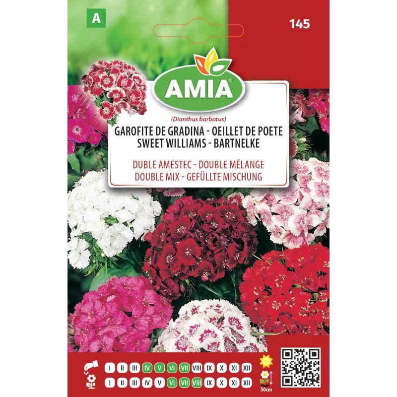 Garofite de Gradina 1 g - 1