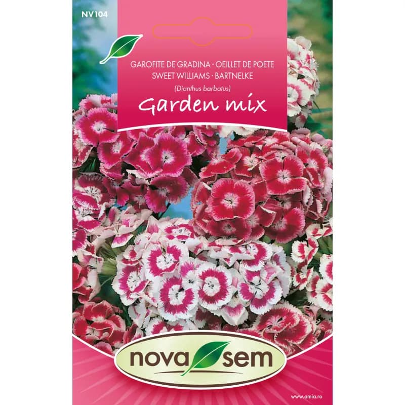 Garofite de Gradina 0,6 g - 1