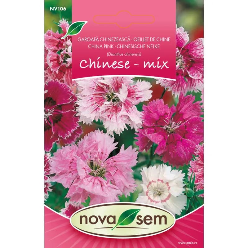 Garoafă Chinezească 0,3 g - 1