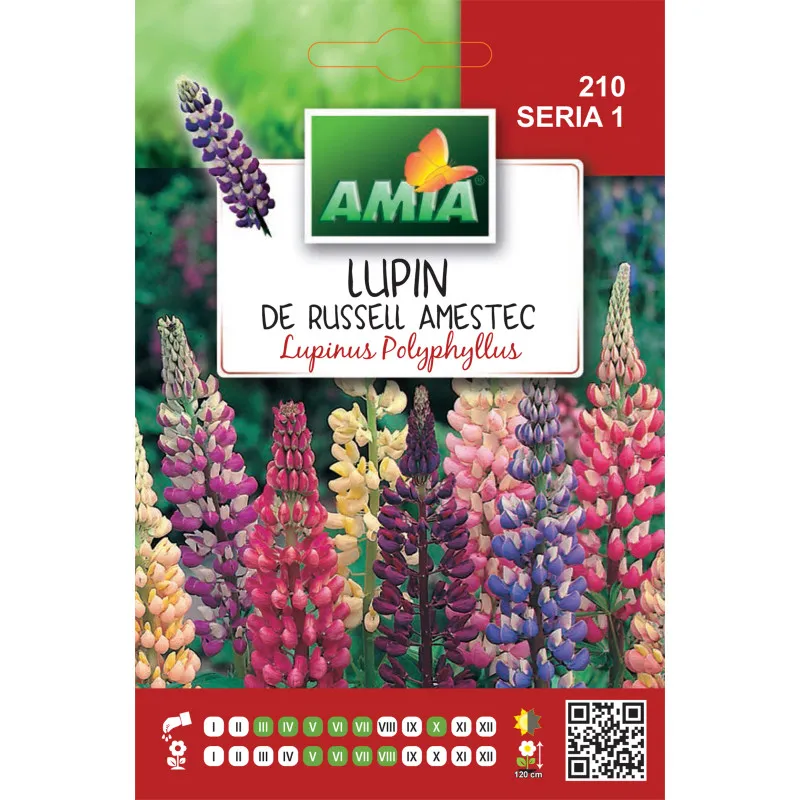 Lupin 0,5 g - 1
