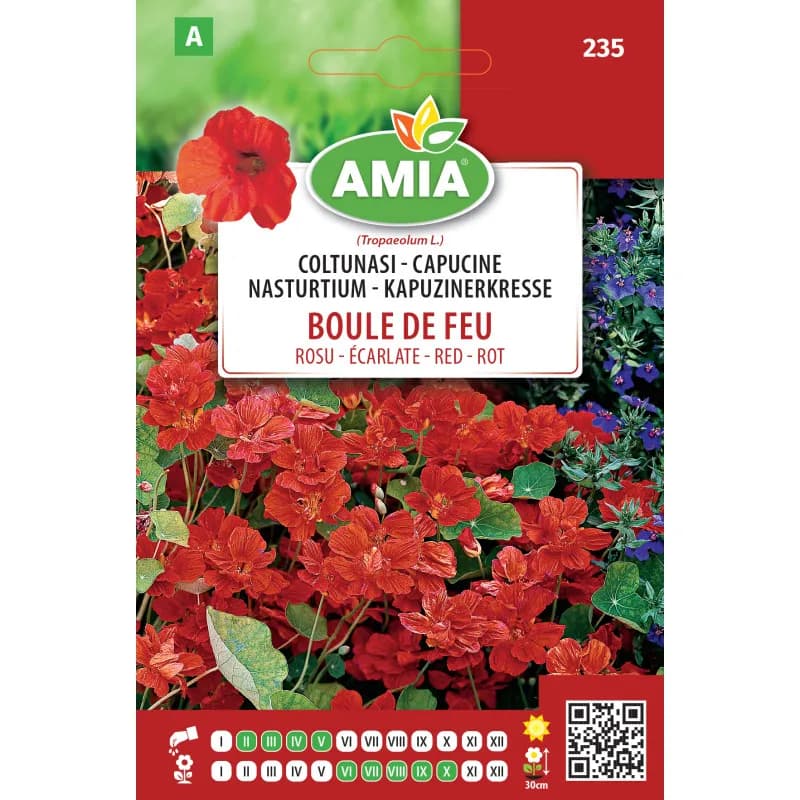 Coltunasi boule de feu 1,5 g - 1