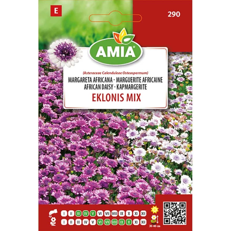 Marguerite africaine Eklonis MIX 0,1 g - 1