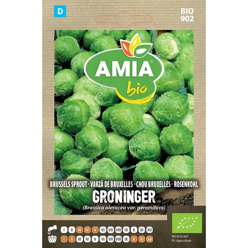 Varza De Bruxelles Groninger 1,5 g - 1