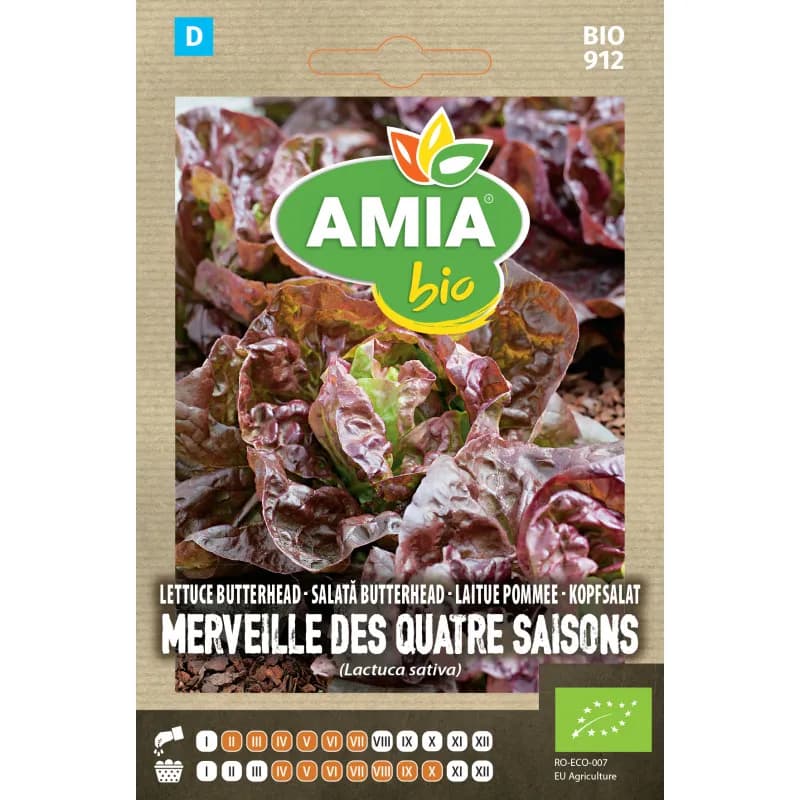 Salata ButterHead Merveill des Quatre Saisons 0,7 g - 1