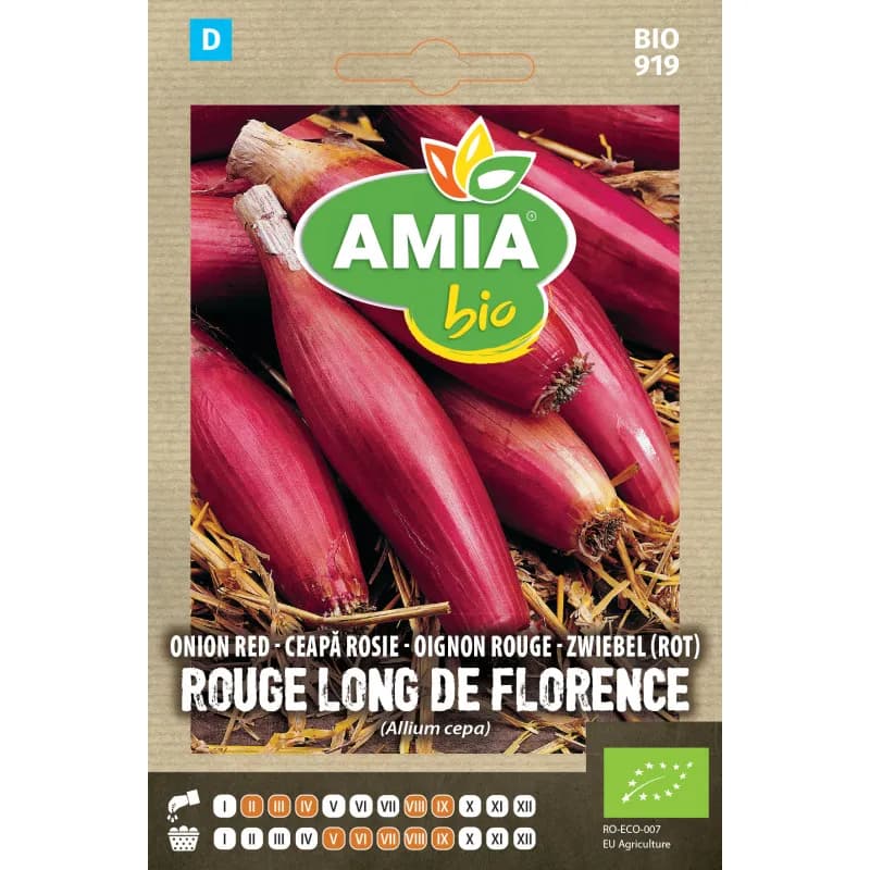 Onion Red "Long de Florence" 0.3 g - 1