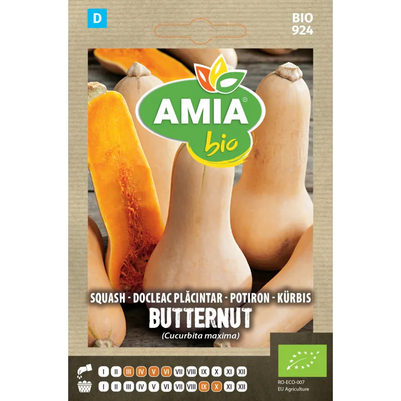 Dovleac Placintar Butternut 0,3 g - 1