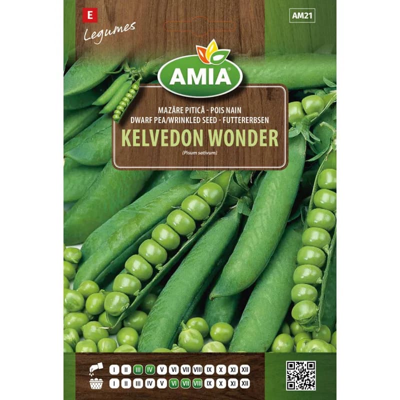 Mazare Kelvedon Wonder 40 g - 1