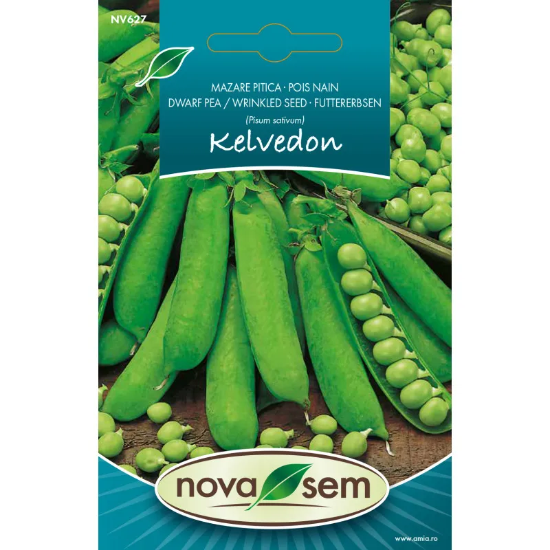 Mazare Kelvedon Wonder 7 g - 1