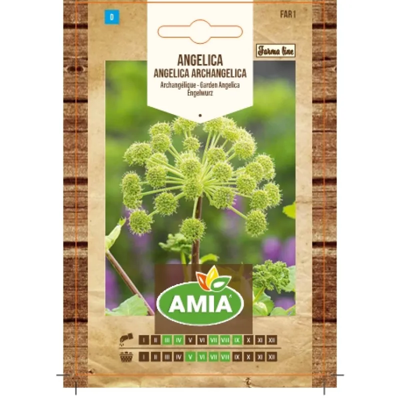 Angelica 0.5 g - 1