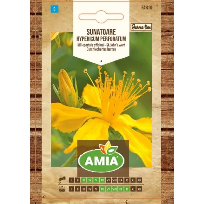 St John's wort 0.1 g - 1
