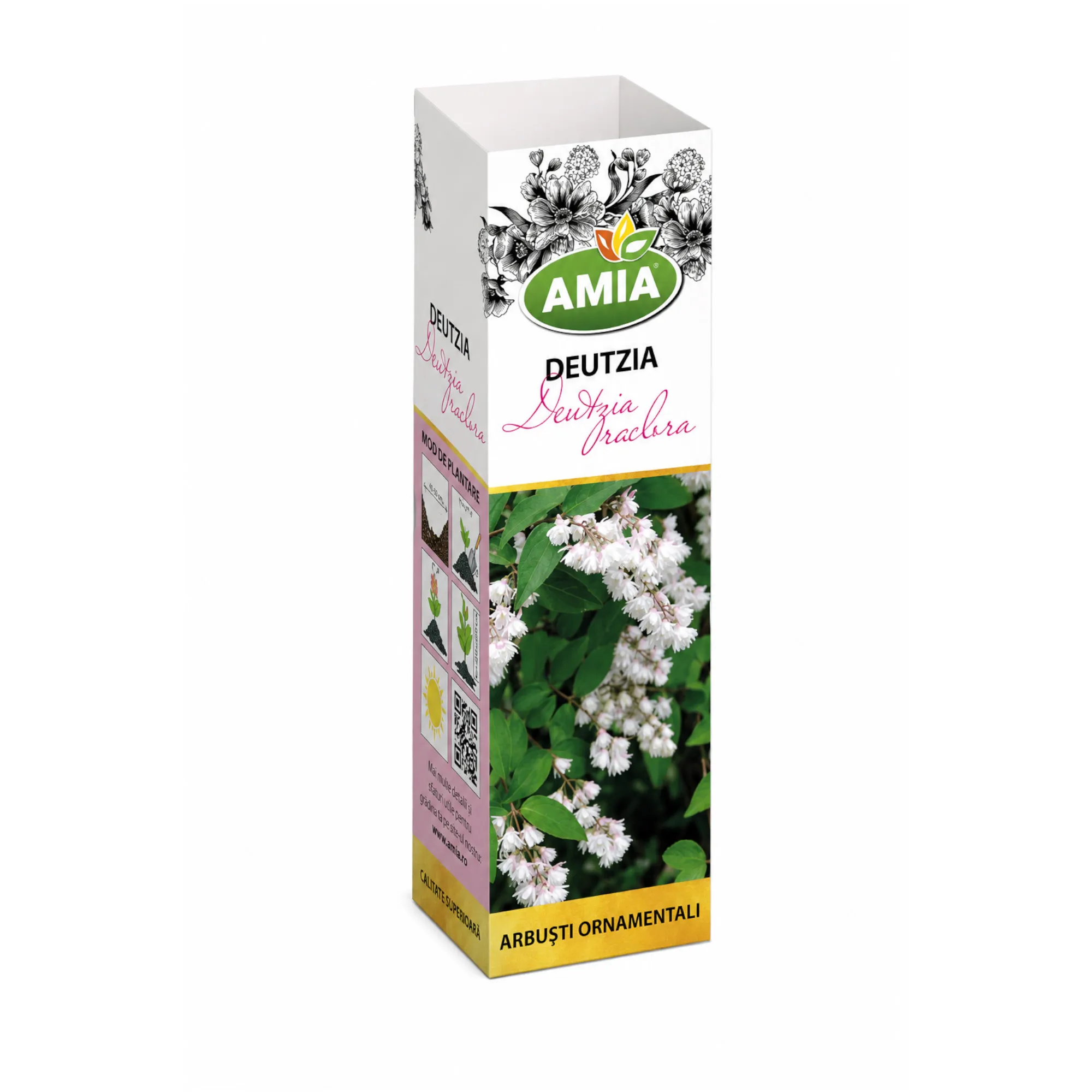 Butaş de Deutzia - 1