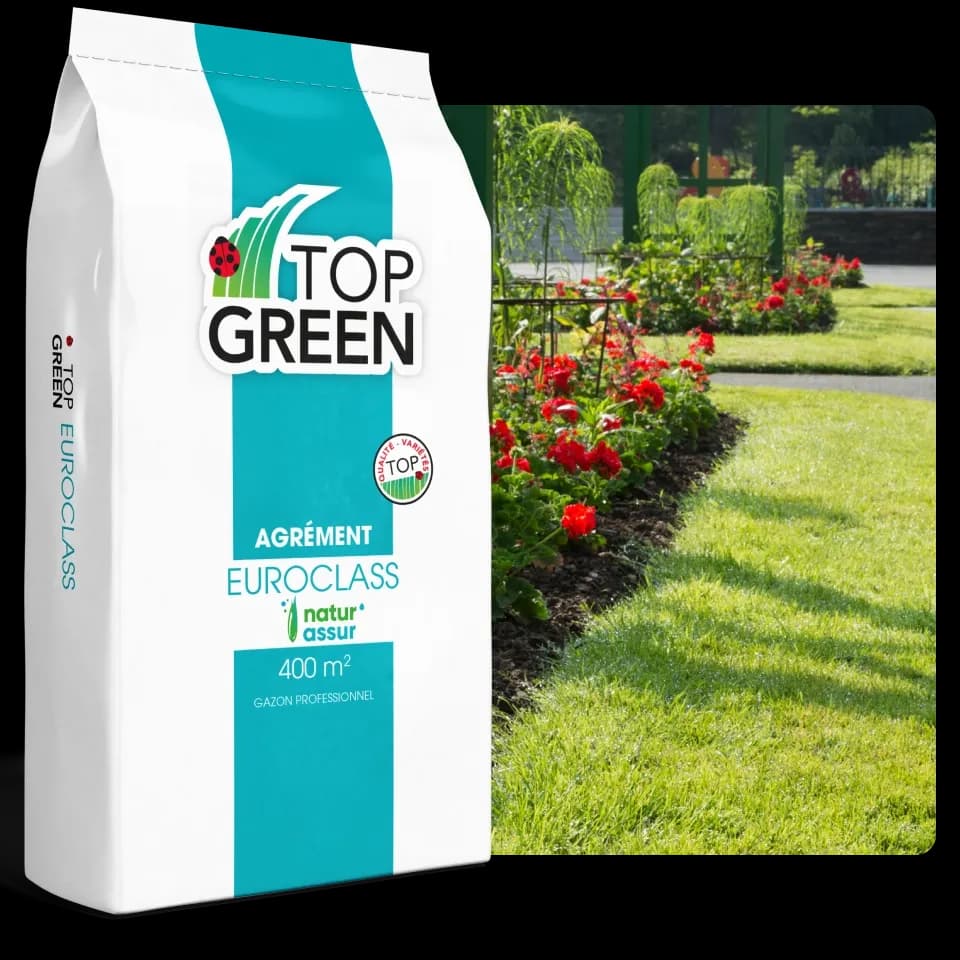 Semințe Top Green - Gazon "Euroclass" - 1