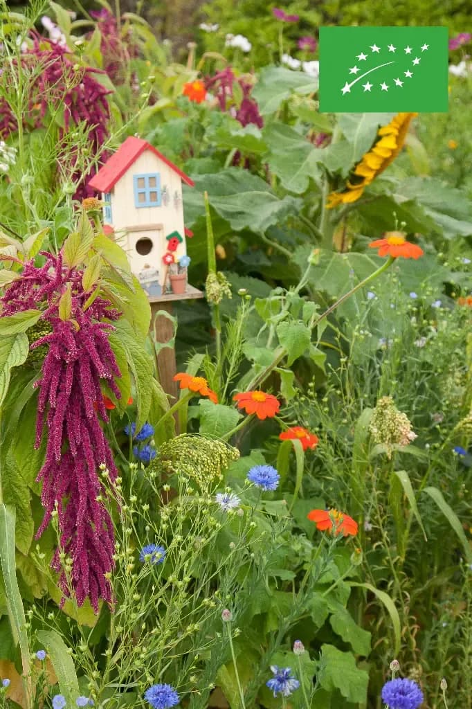 Fleurs annuelles pour Oiseaux - BIO – amestec pentru păsări - 1