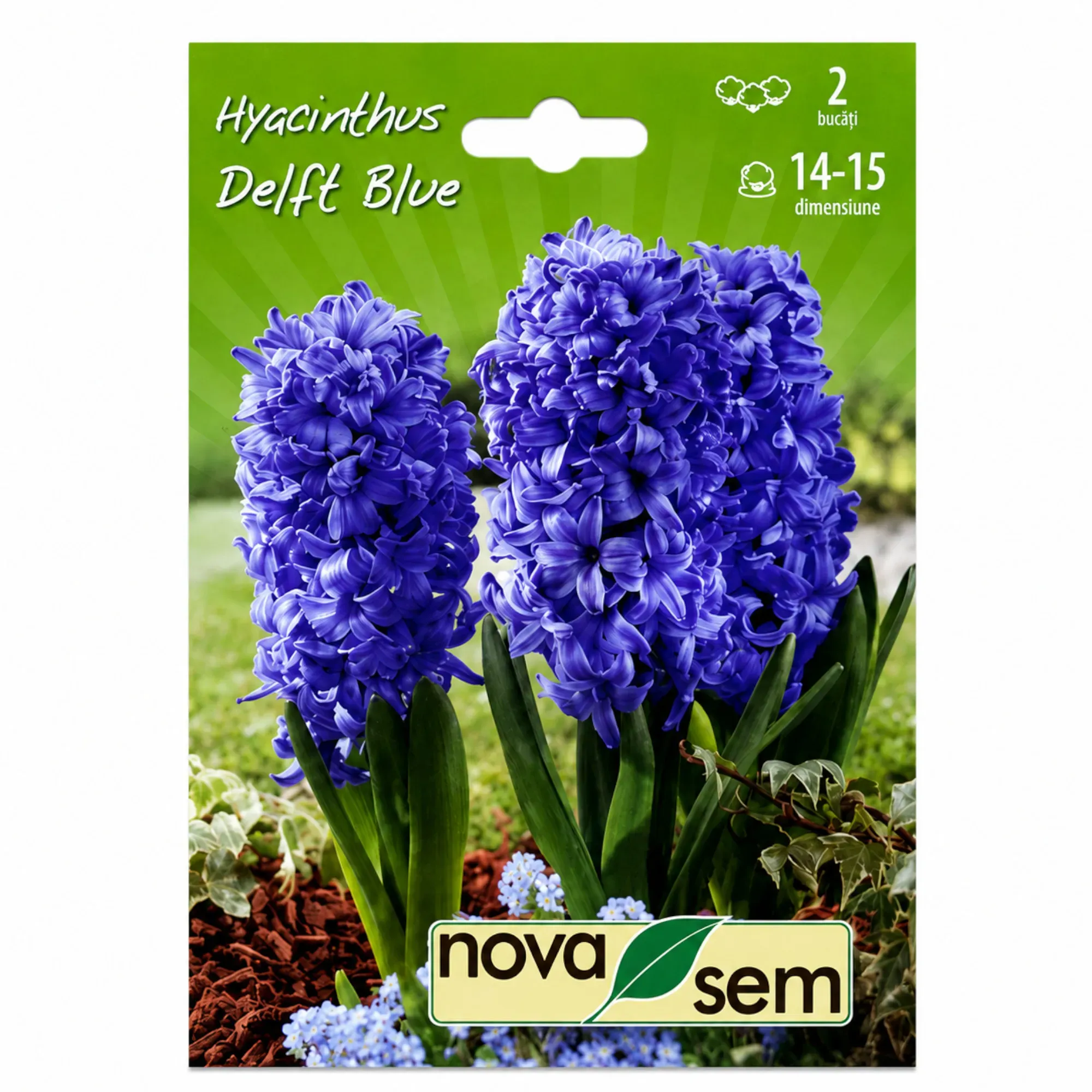 Zambile „Delft Blue” - 1