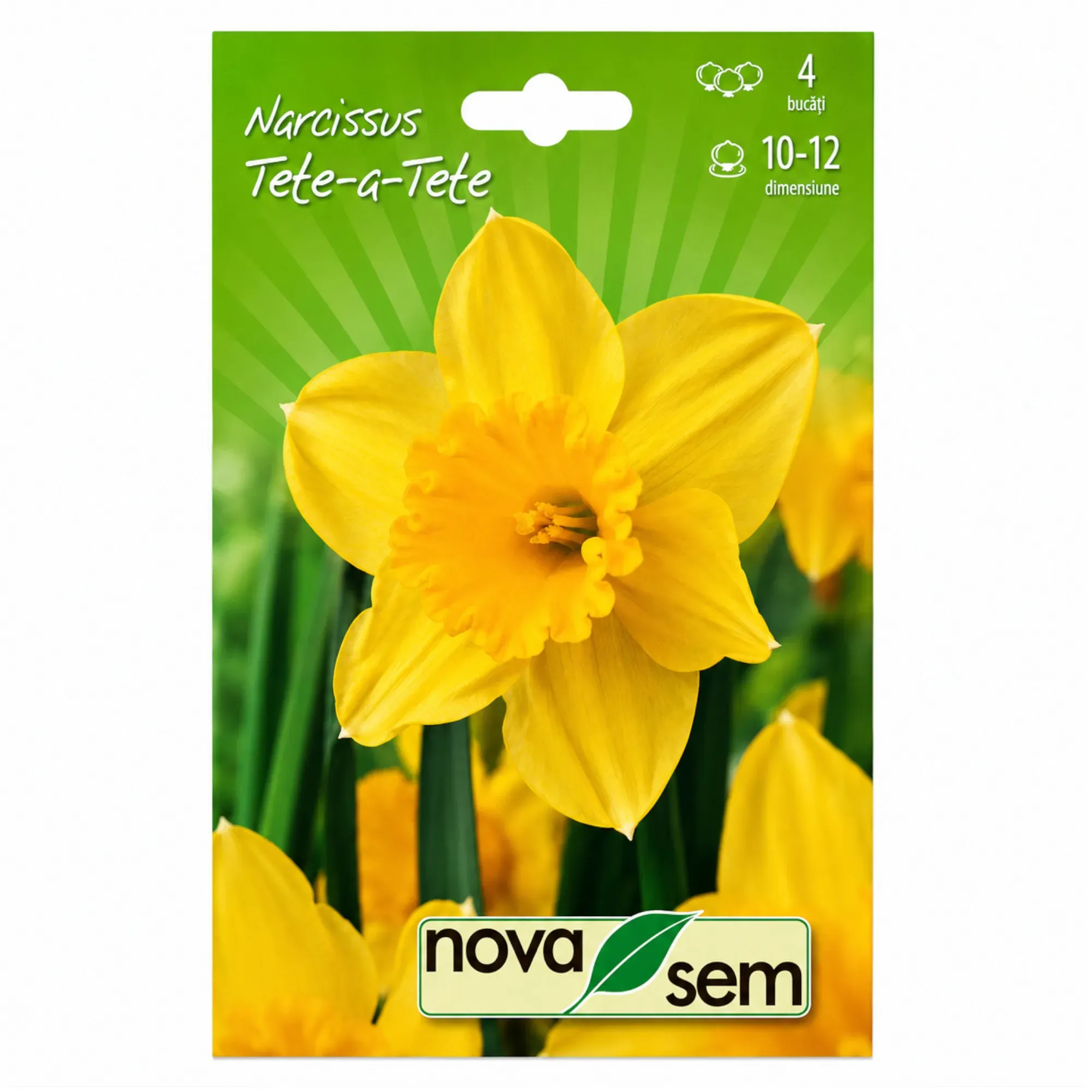 Narcise „Tete a Tete” - 1